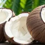 Ein paar geöffnete Kokosnüsse liegen aufeinander